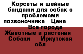 Корсеты и шейные бандажи для собак с проблемами позвоночника › Цена ­ 2 500 - Все города Животные и растения » Собаки   . Иркутская обл.